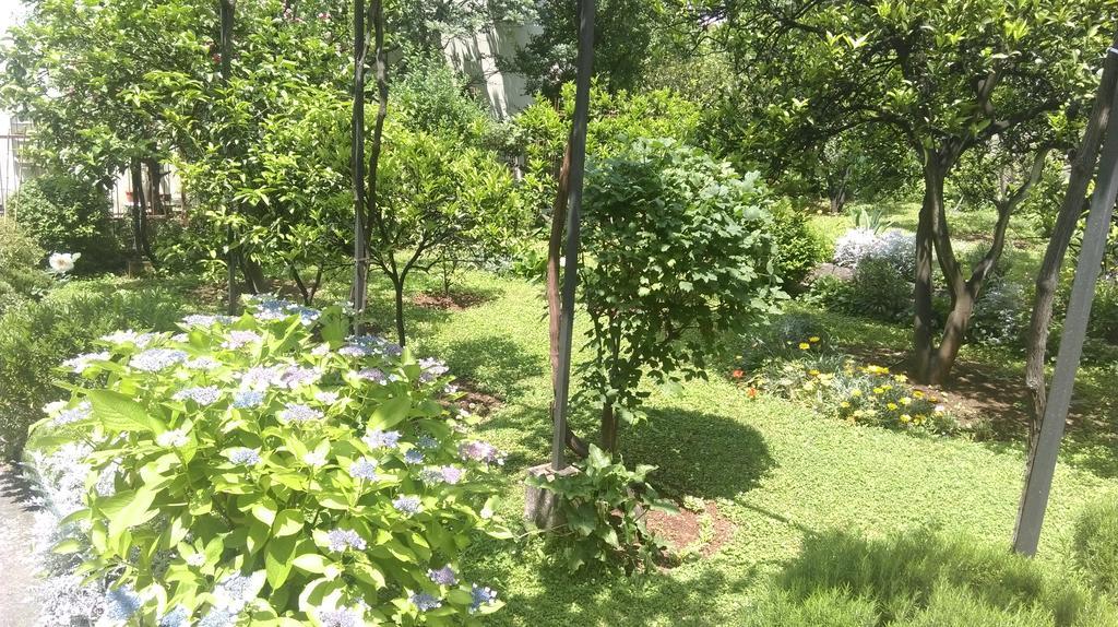 Apartment Ruzica Krstic 헤르섹 외부 사진