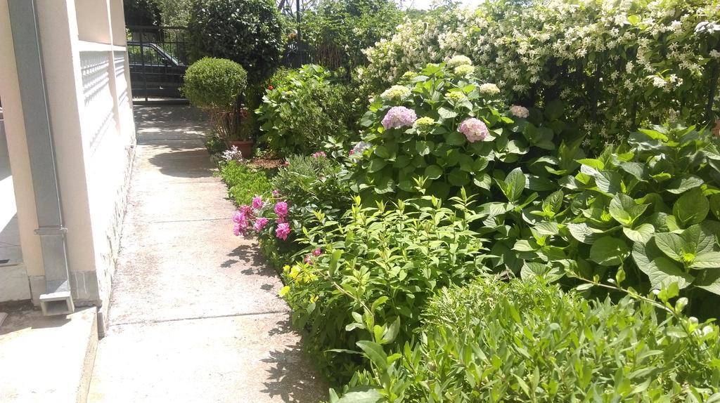 Apartment Ruzica Krstic 헤르섹 외부 사진